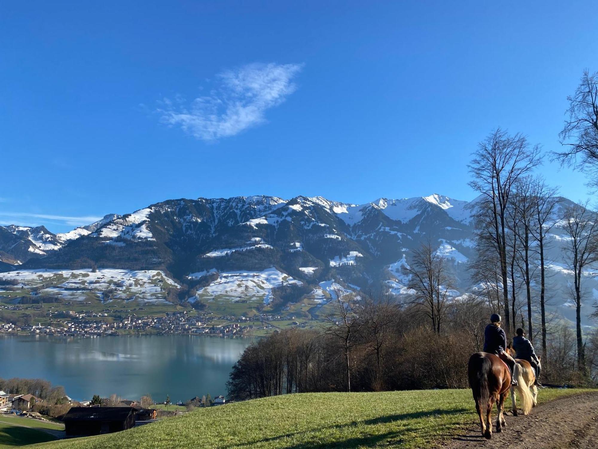 Apartment Seeblick Sarnen