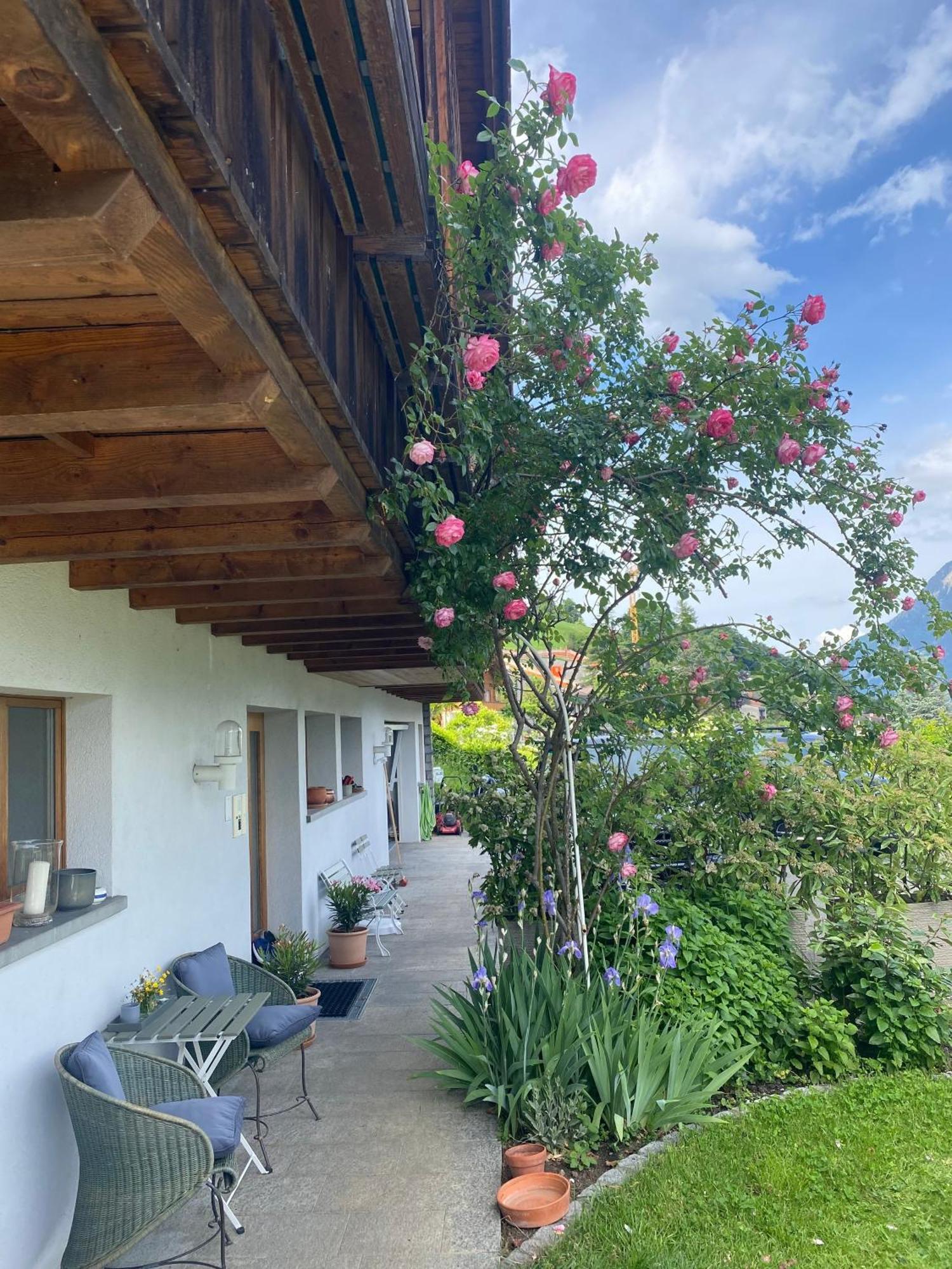 Seeblick Apartment