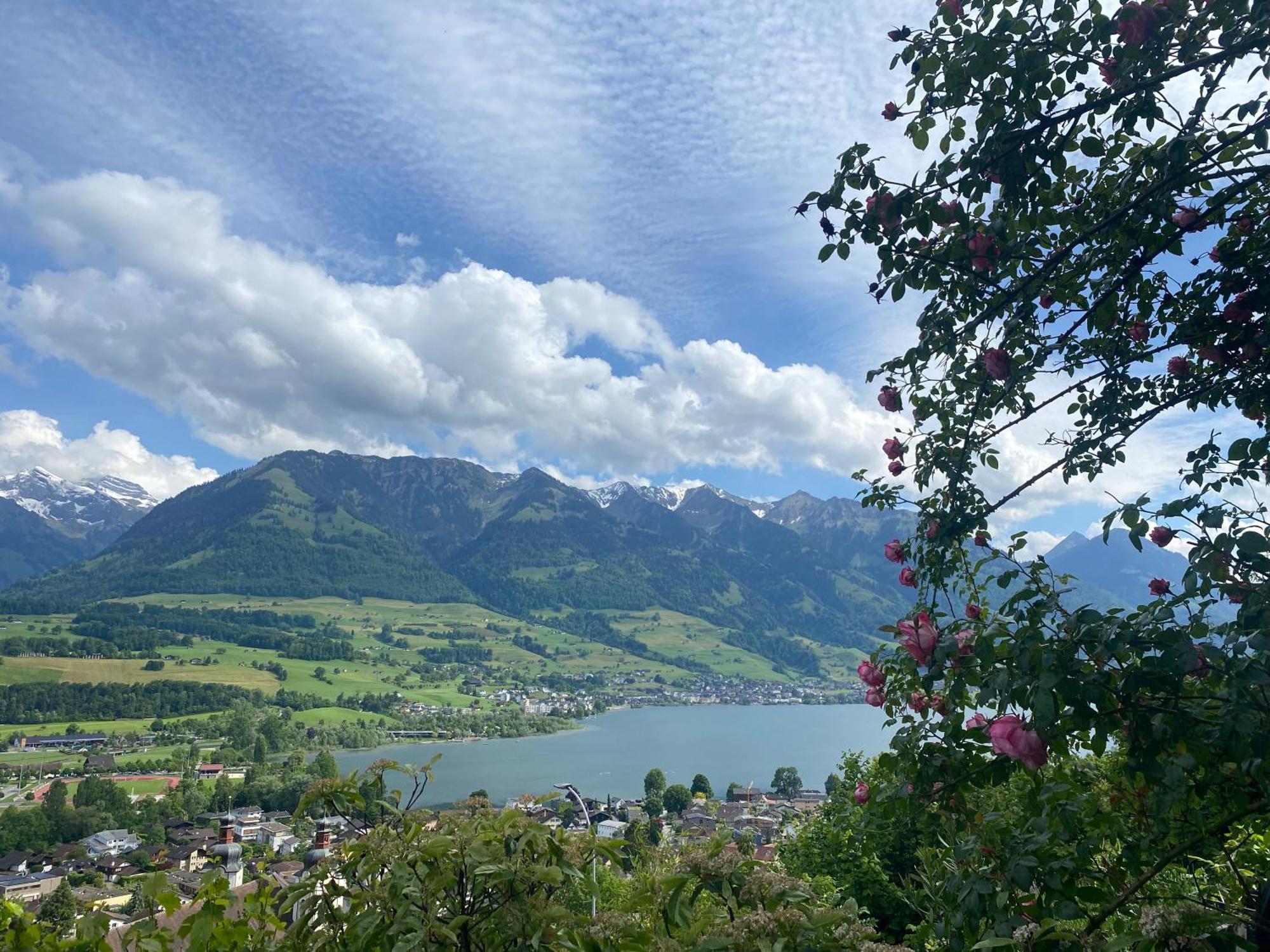 Seeblick